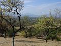 2008-0920_Nr Alhaurin_Spain_1715_28C